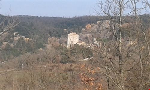  Sovicille sabrina sabrina